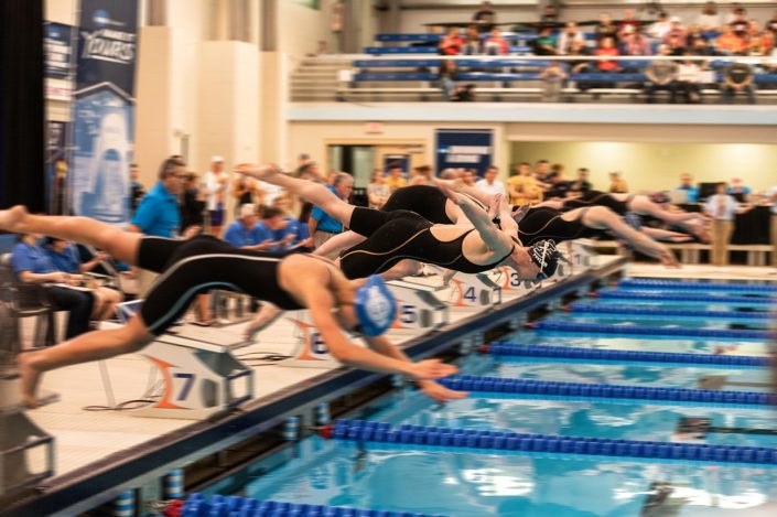 A Picture of Swimmers Diving into the Water in BDK Photography's Sports Gallery